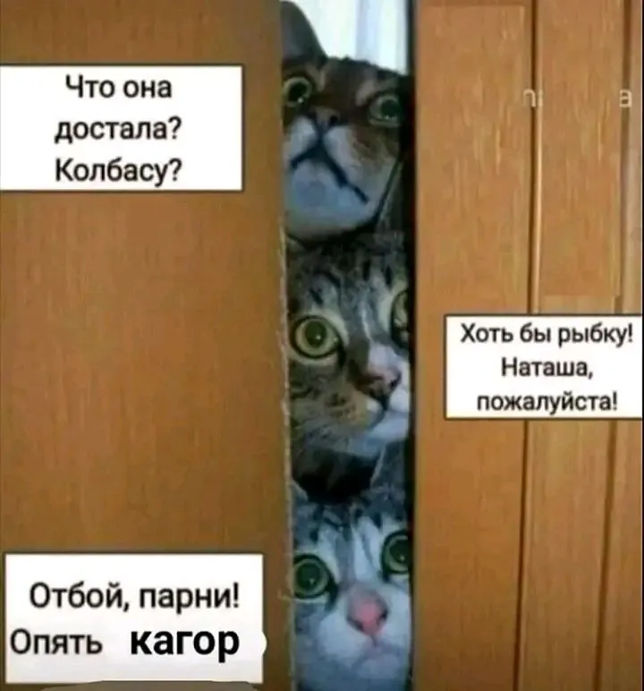 1710833353567.webp