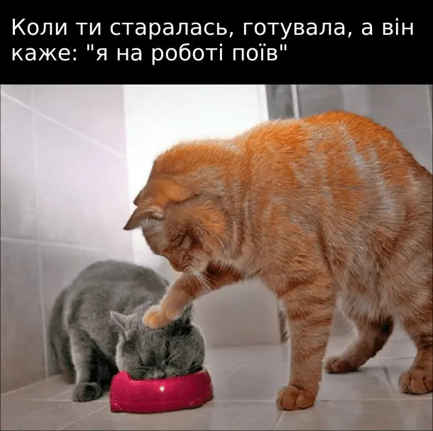 1710834001231.webp