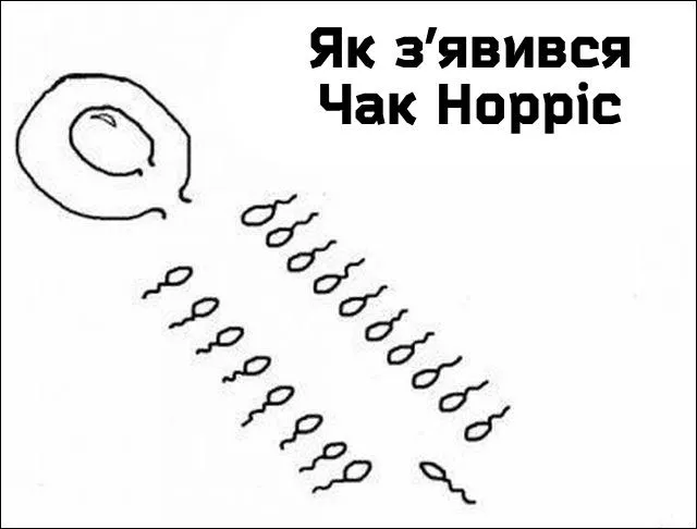 1710880188649.webp