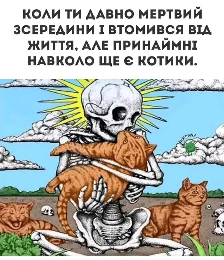 1710927583333.webp