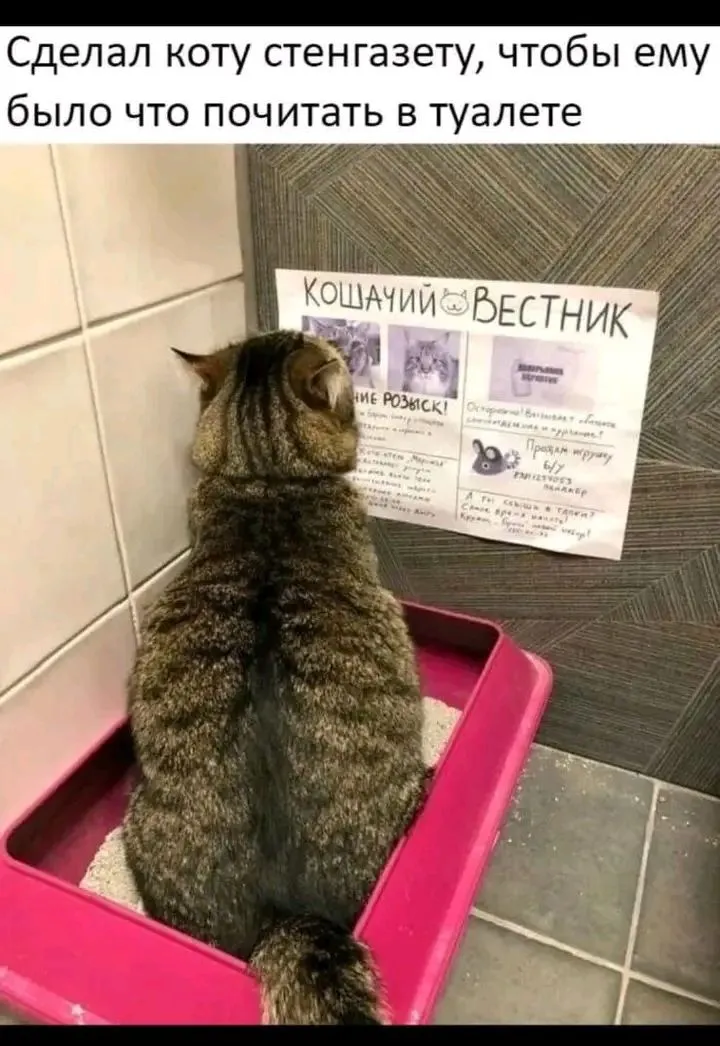 1711215758837.webp