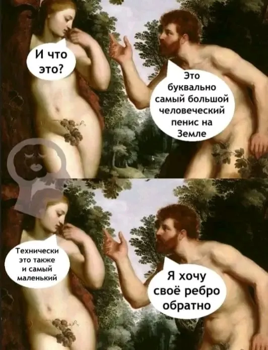 1711299332372.webp