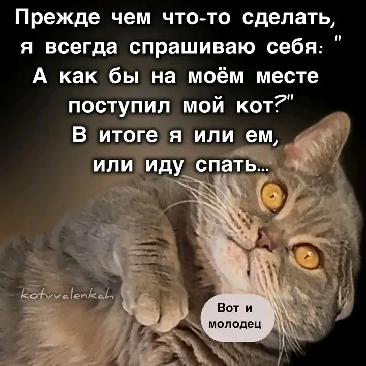 1711310456554.webp