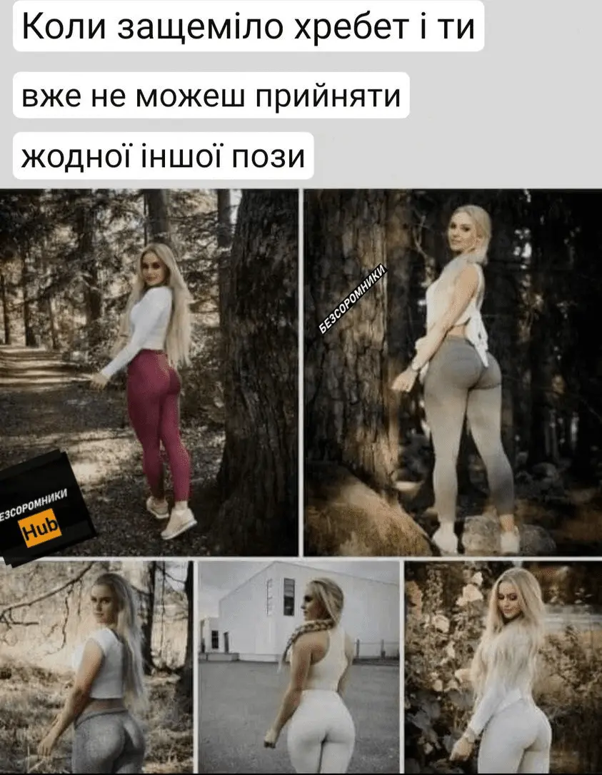 1711364551466.webp