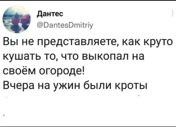 1711388764101.webp