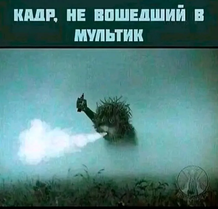 1711398114554.webp