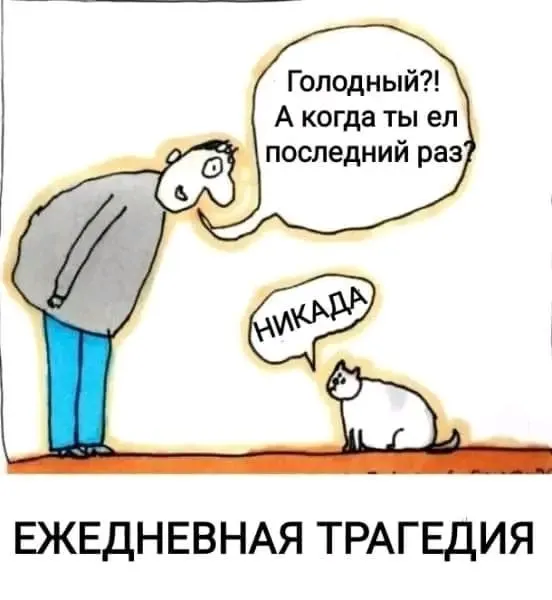 1711408793946.webp
