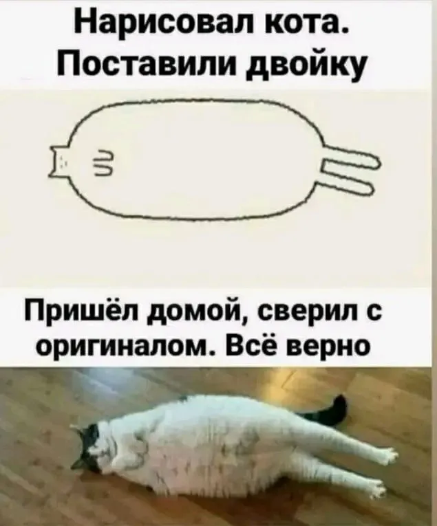 1711427740291.webp