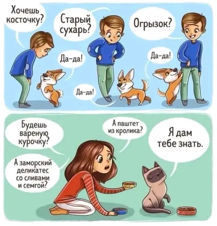 1711505673315.webp