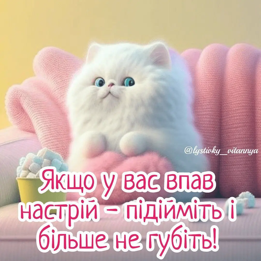 1711550134466.webp