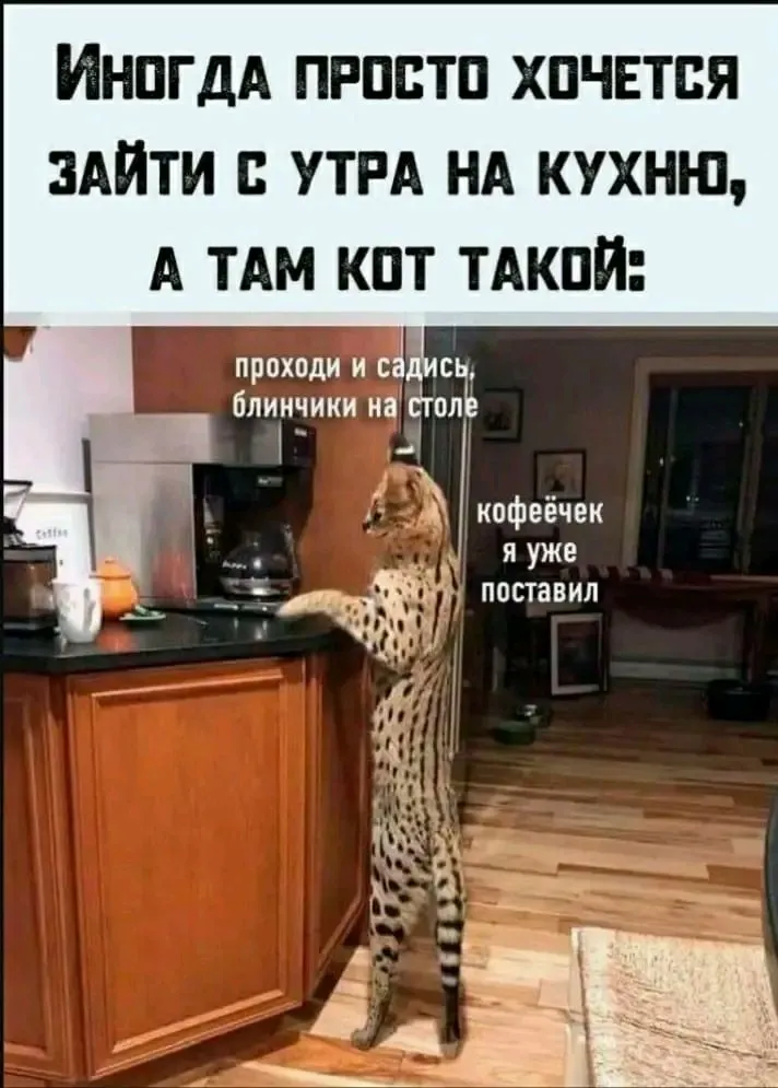 1711559589328.webp