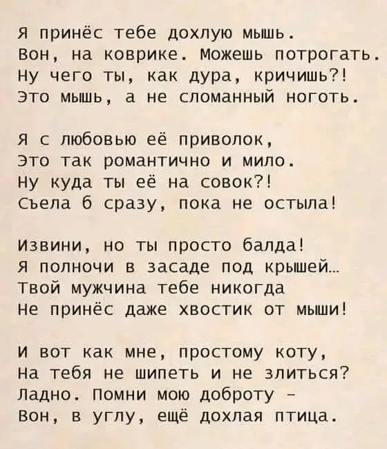 1711614657126.webp