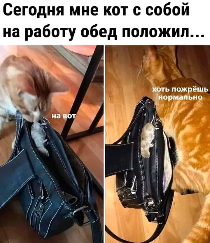 1711637101298.webp