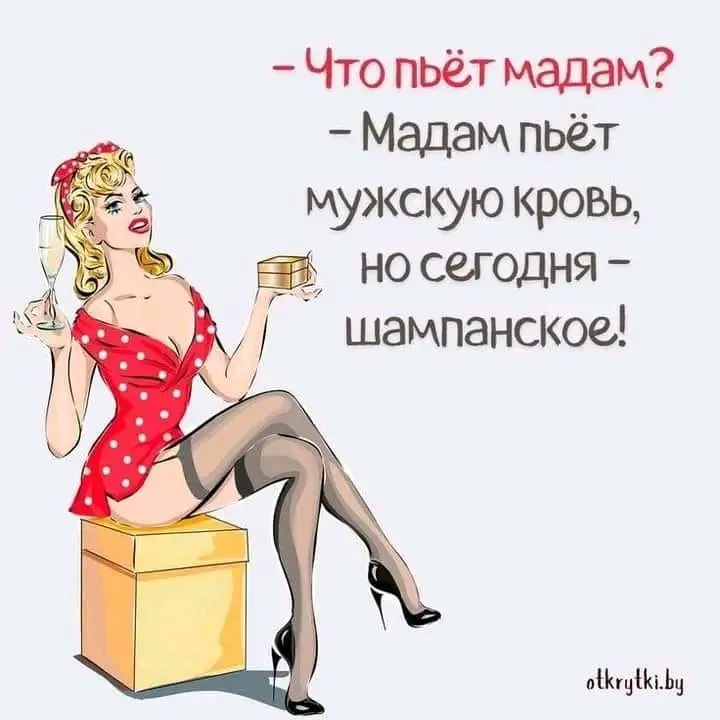1711667635100.webp
