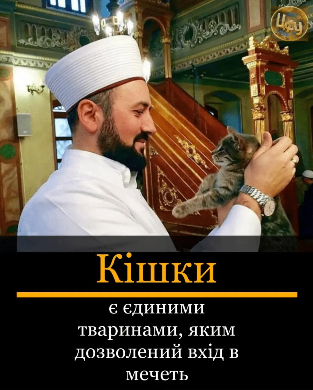 1711881118153.webp