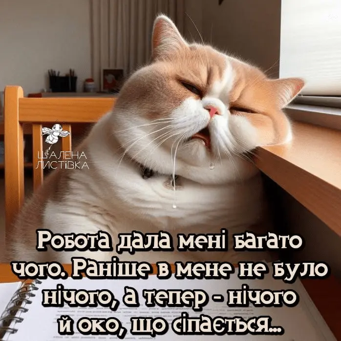 1711902876413.webp