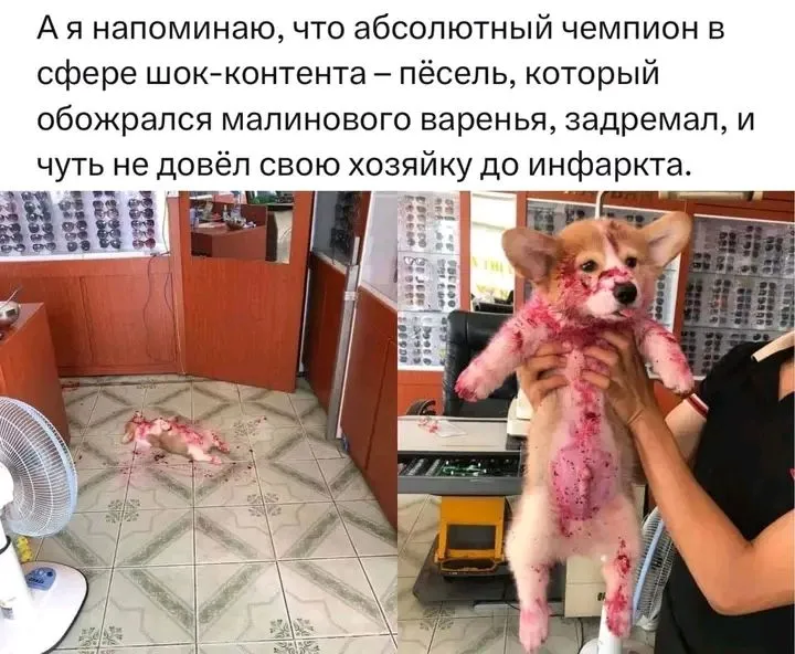 1712002857112.webp