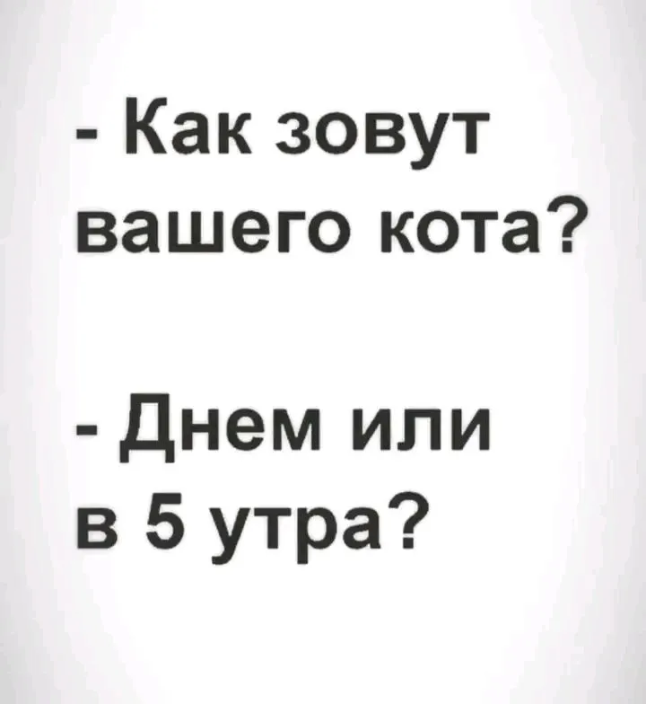 1712053336273.webp