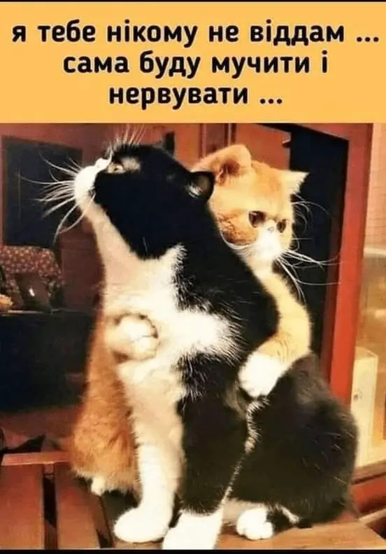 1712345027188.webp