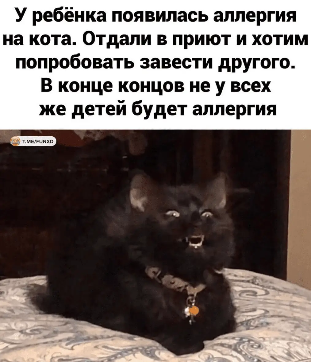 1712345743873.webp