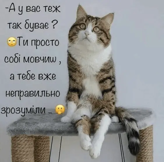 1712414676408.webp