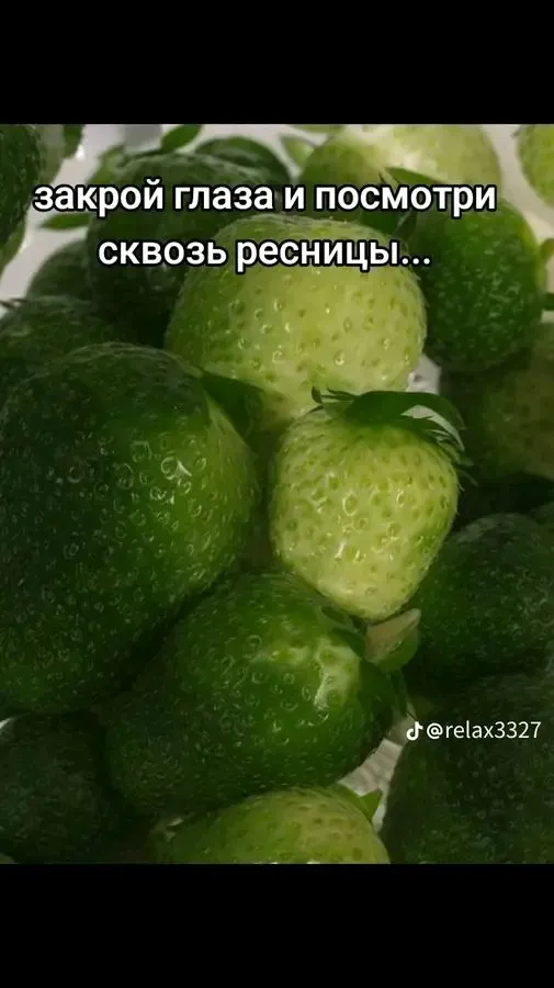 1712414854333.webp