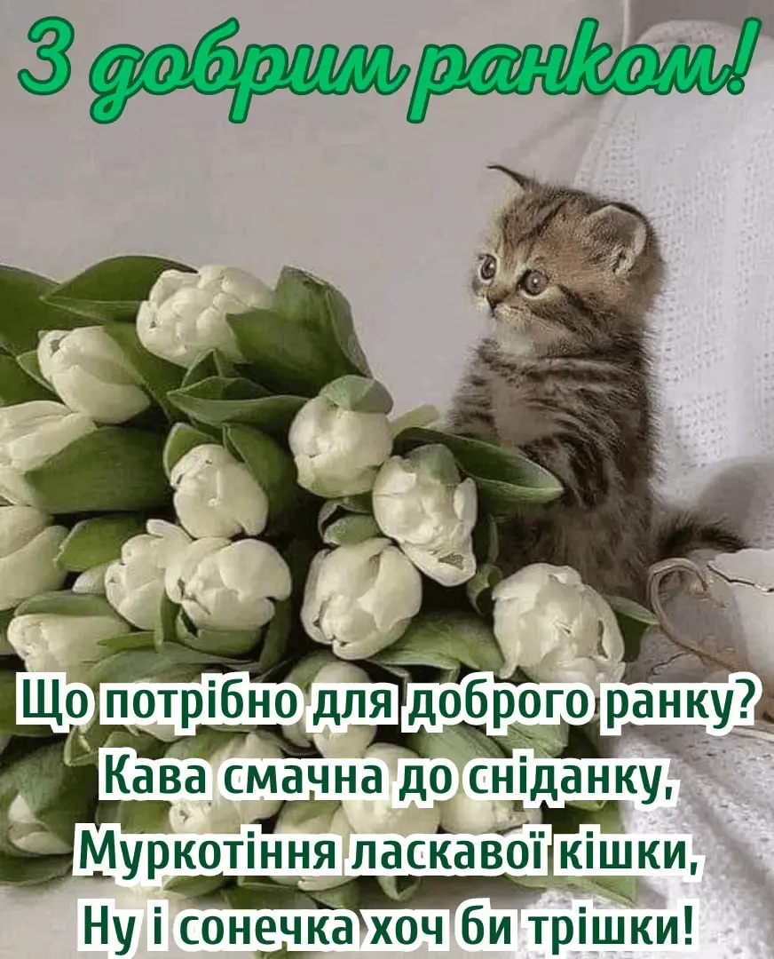 1712483594335.webp