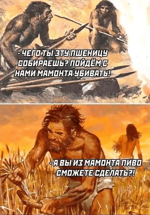 1712664747601.webp