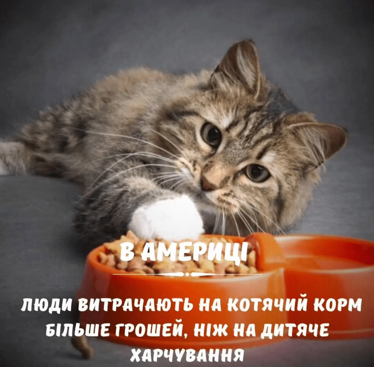 1712689518387.webp
