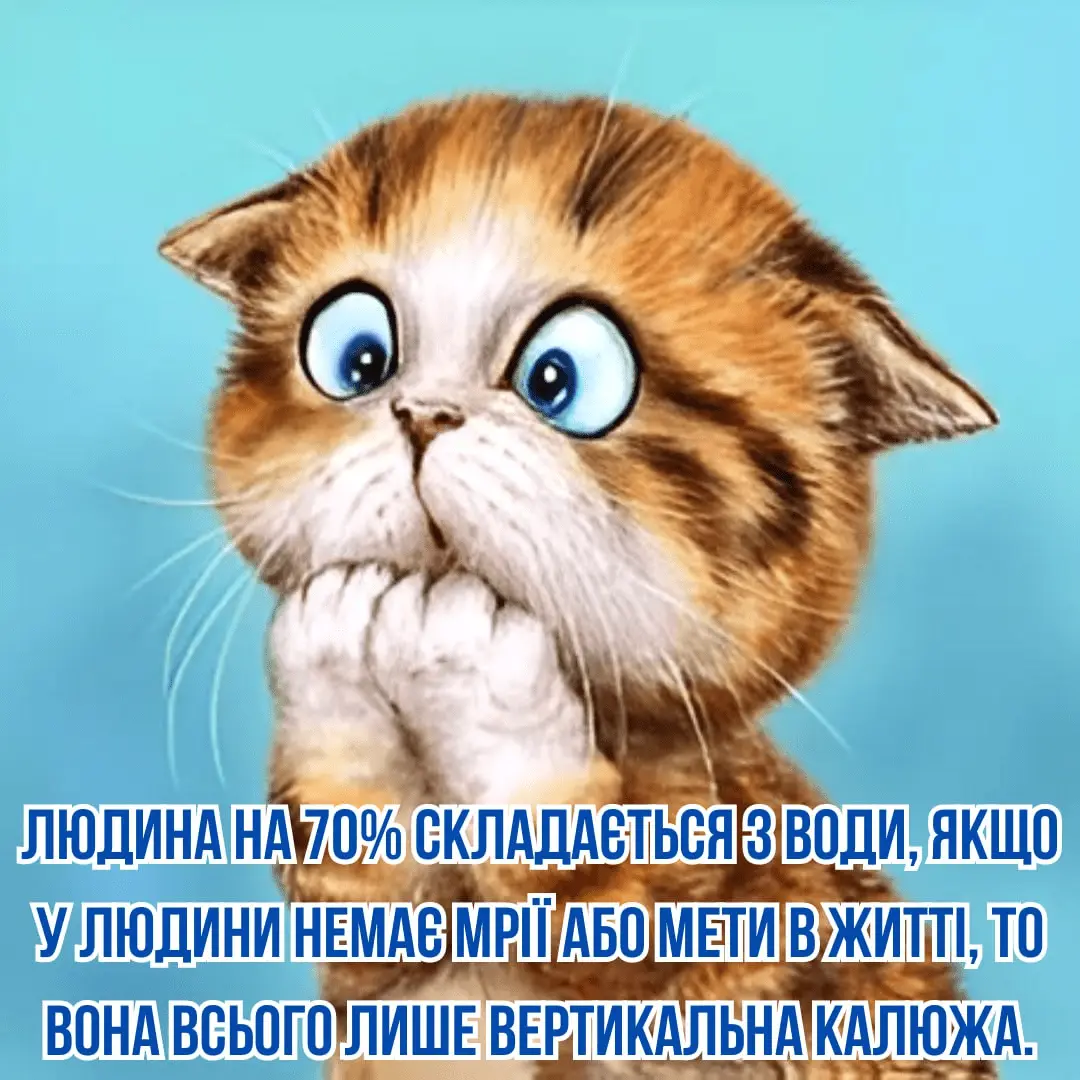 1713031594570.webp