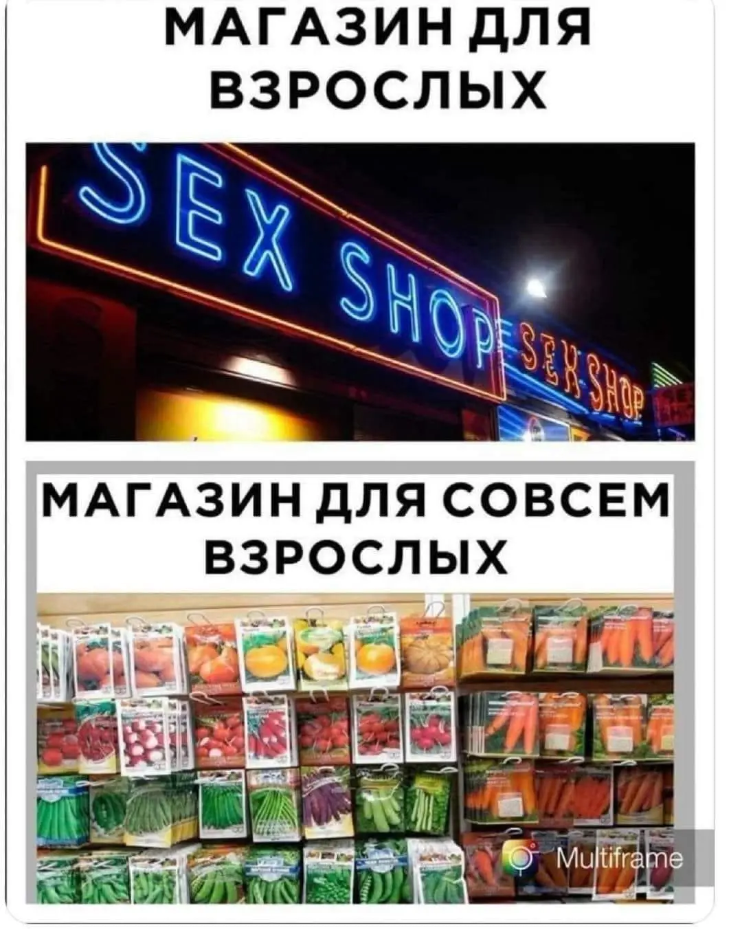 1713164779549.webp
