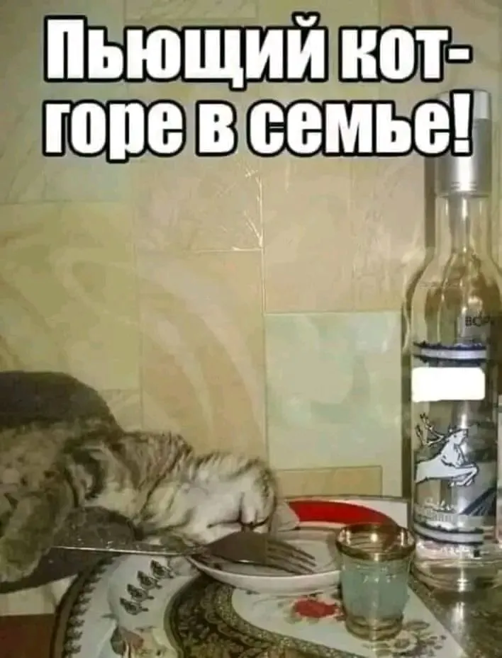 1713460739762.webp