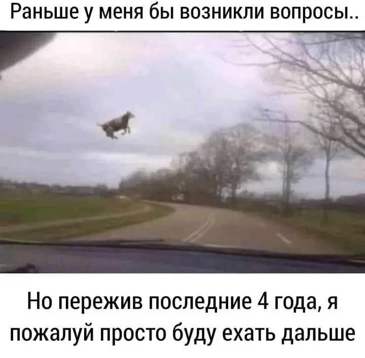 1713546314685.webp