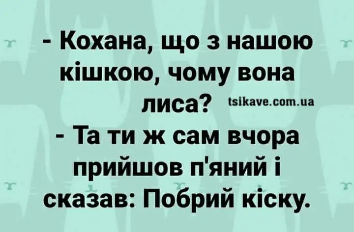 1713613221852.webp
