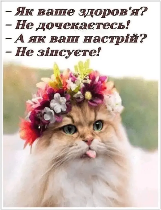 1713786098489.webp