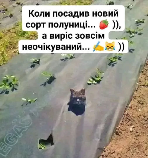 1713896191576.webp