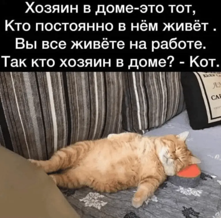 1713950352036.webp