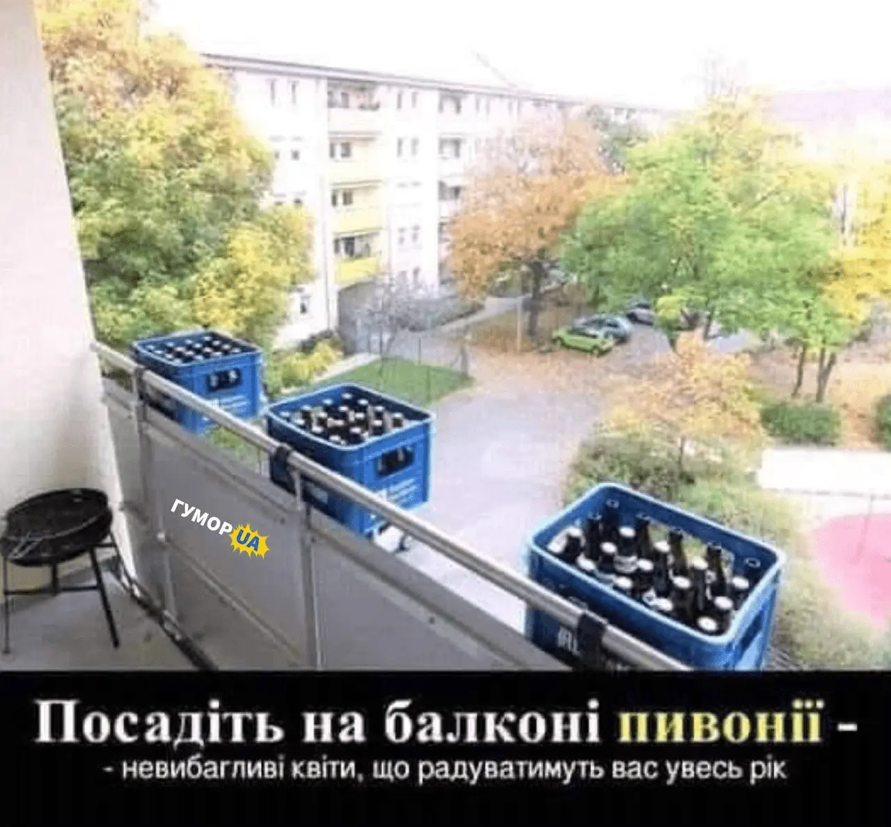 1713958892428.webp