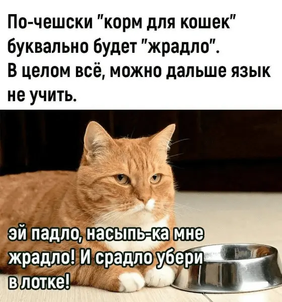 1713984713588.webp