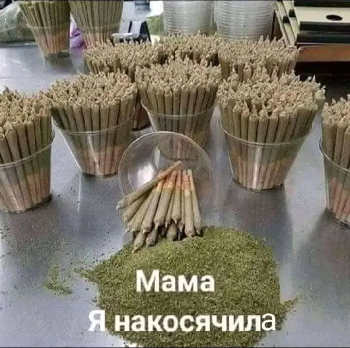 1714026723916.webp