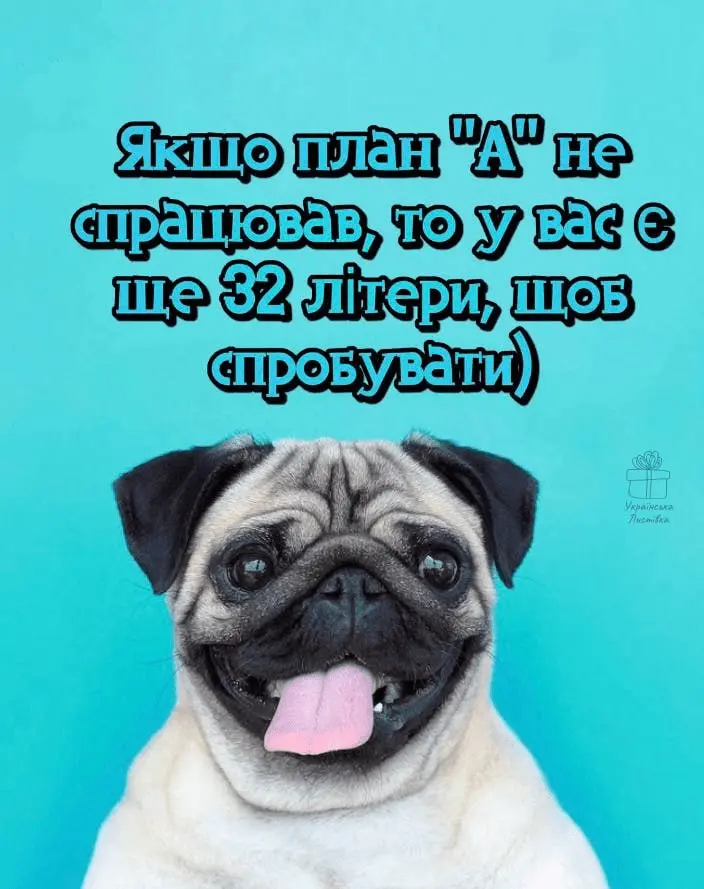 1714068909537.webp