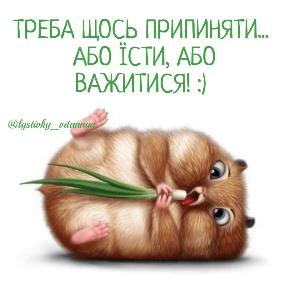 1714072742354.webp