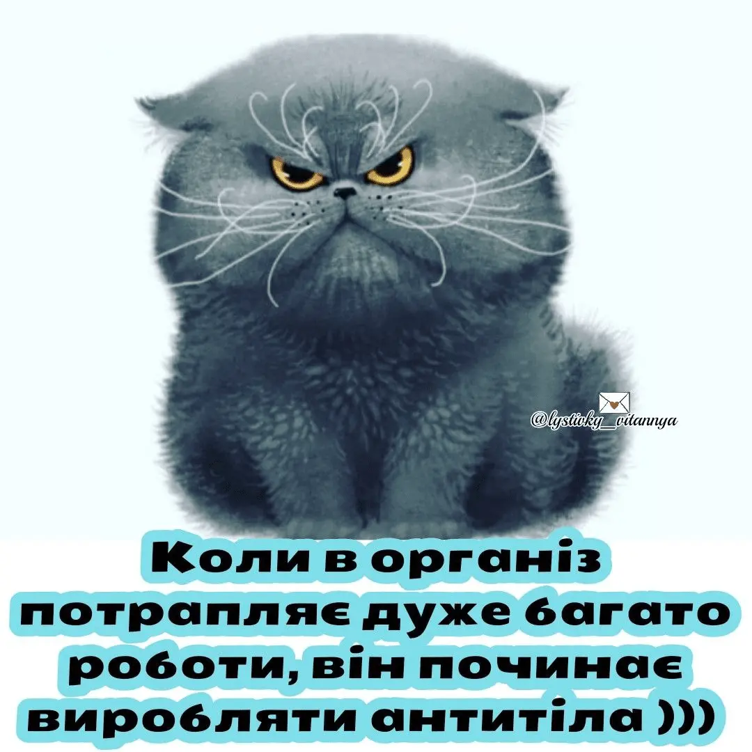 1714145556872.webp