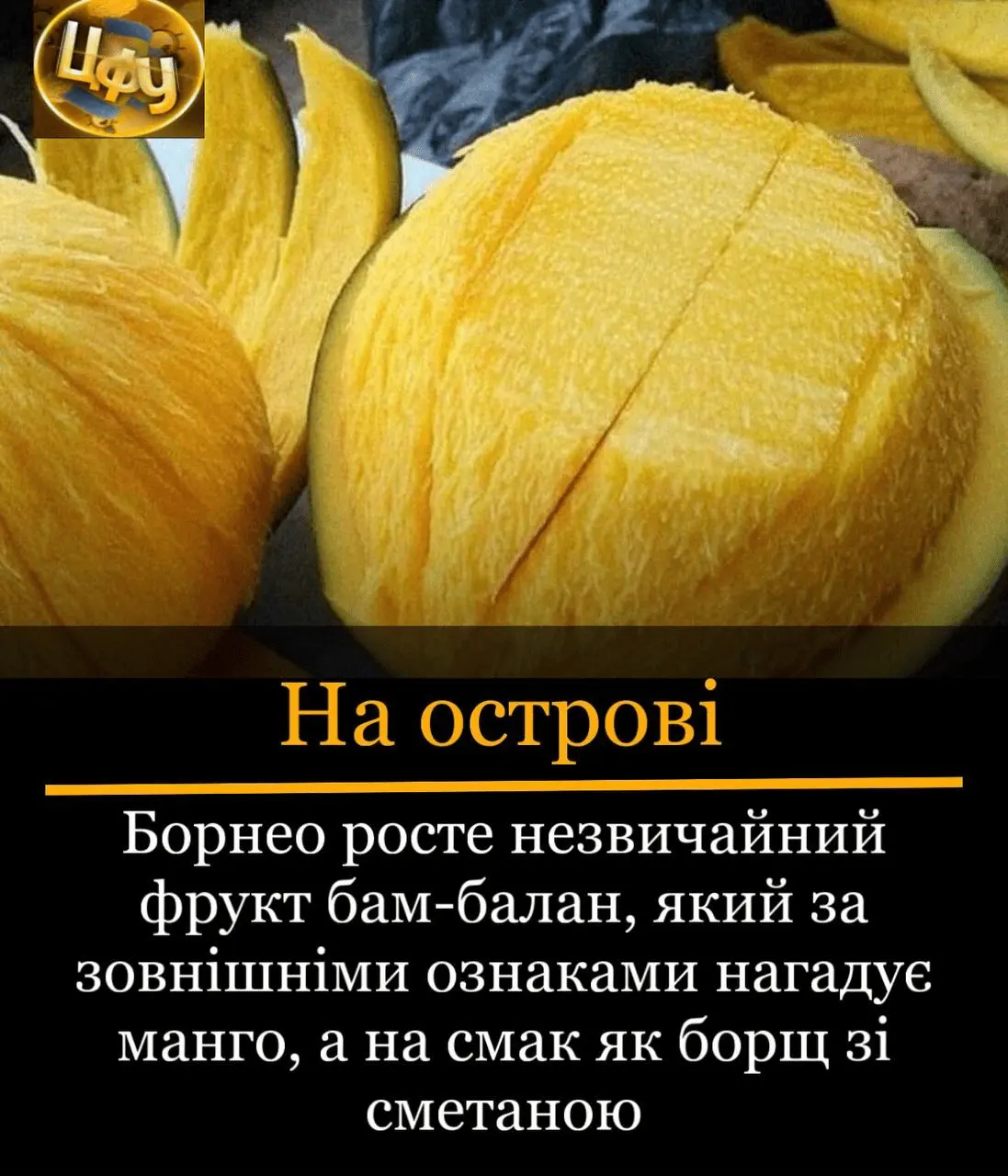 1714146626039.webp