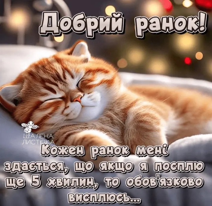 1714206085756.webp