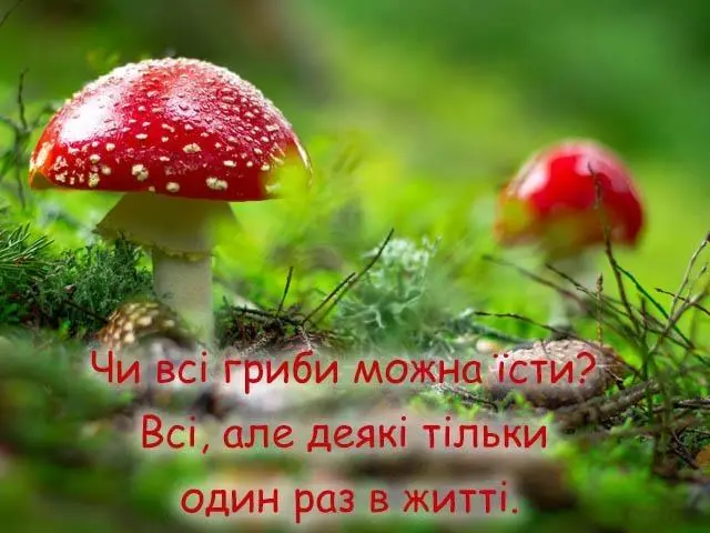 1714976087273.webp