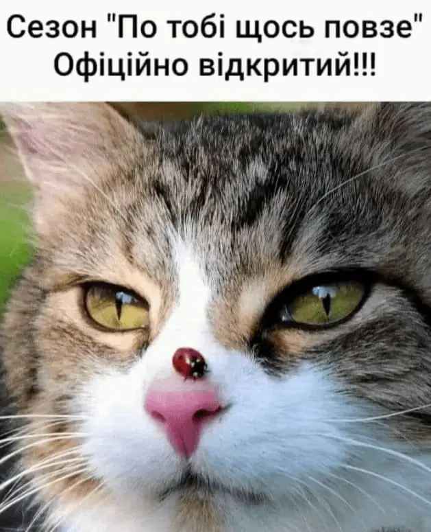 1715104437425.webp