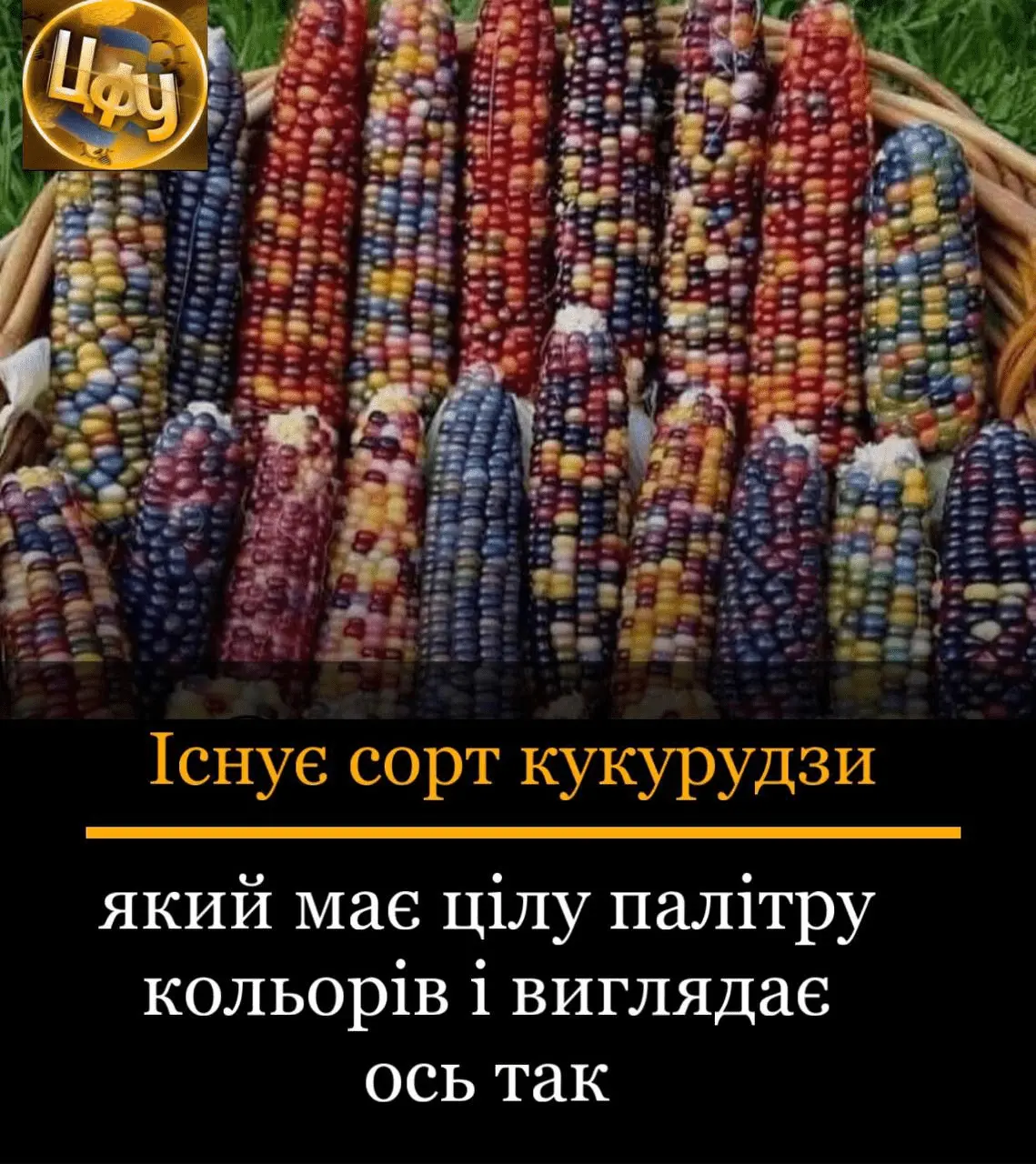 1715104840835.webp