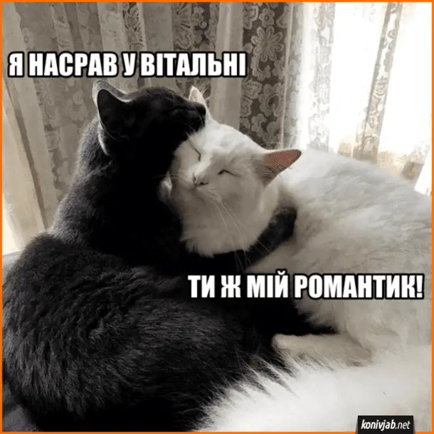 1715149232514.webp