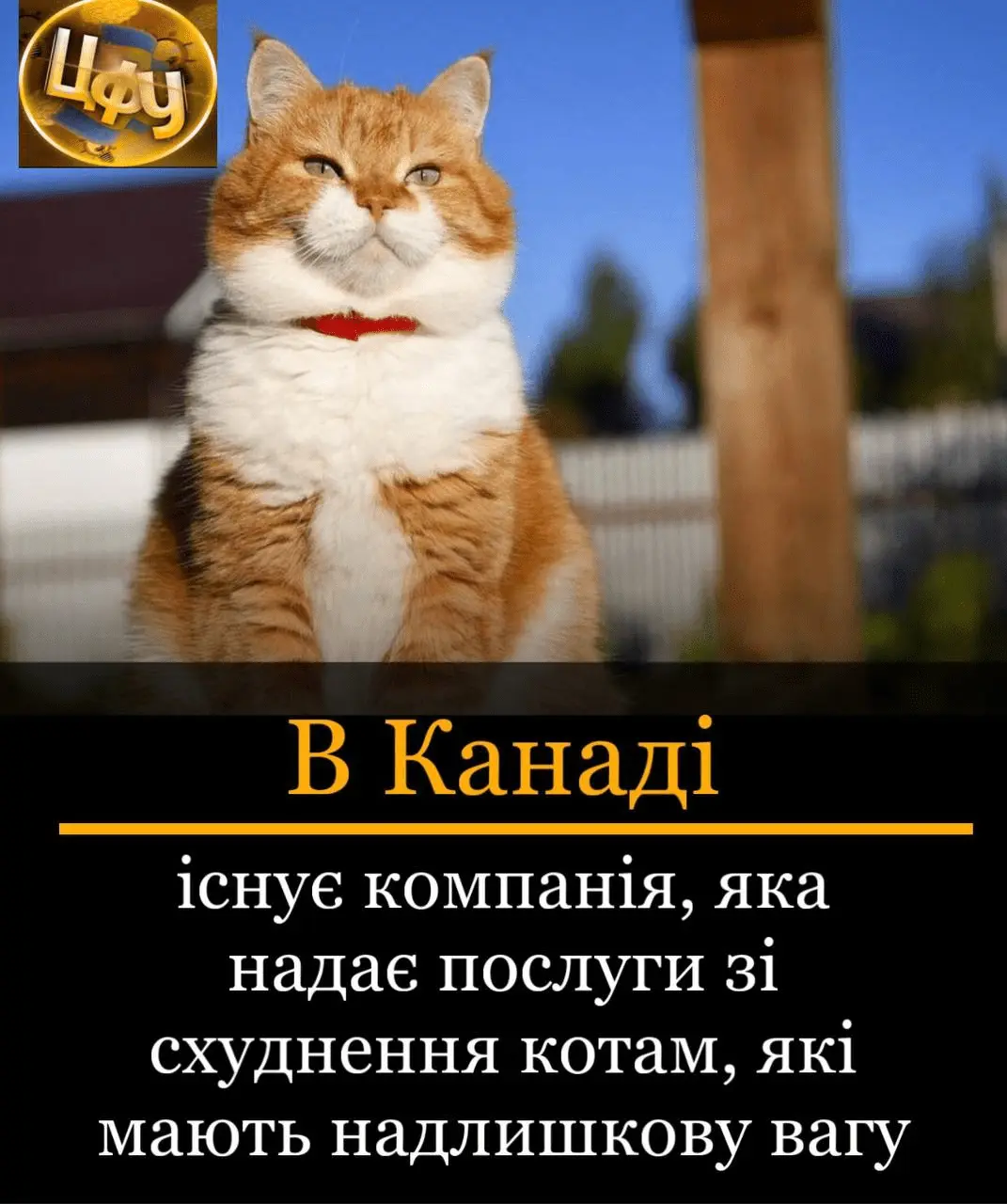 1715265873452.webp